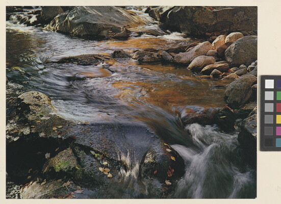 A color photograph of water rushing over and around rocks and boulders; fallen leaves stick to some of the rocks.