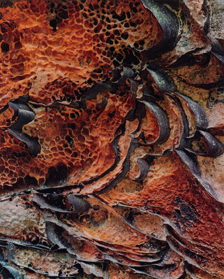 A color close-up photograph of black ribbon patterns scattered among red stone that looks like honeycombs.