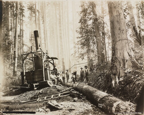 A black-and-white photograph of a group of men standing next to a large piece of machinery in a heavily-wooded forest behind a fallen log.