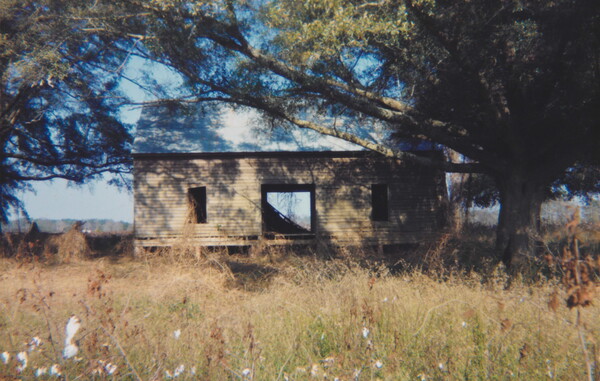 A color photograph of an abandoned wood clapboard house in a field of grass and flowers.