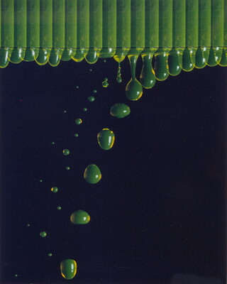 A close-up color photograph of a row of green cylinders from which drops of liquid fall in a downward arc.
