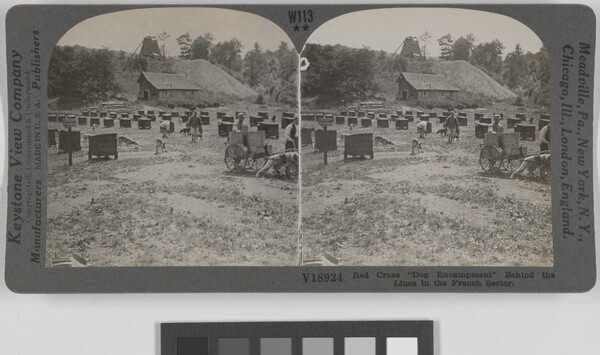 Two almost identical black-and-white photographs side by side of rows of dog houses in a field and dogs and people walking amongst them.