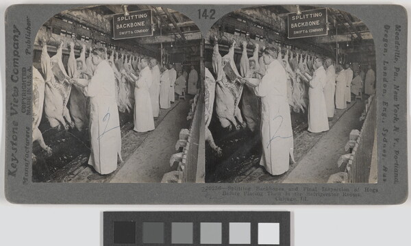 Two almost identical black-and-white photographs side by side of men in white aprons standing next to a row of pig carcasses hanging from hooks.