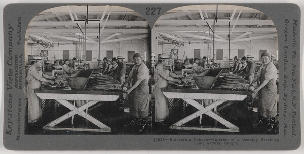 Two almost identical side-by-side black-and-white photographs of people cleaning fish at a long table with a trough running down its middle.