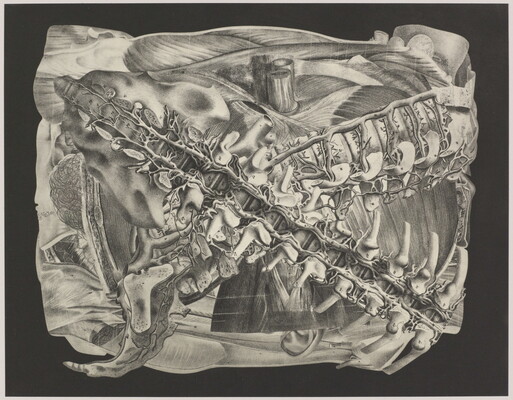 An abstract black-and-white photograph of overlapping bones, vertebrae, and muscle-like structures arranged in a square.