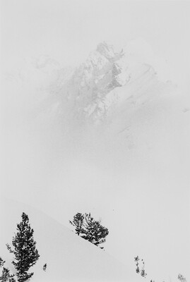 A black-and-white photograph of a snowy mountain peak towering above the tops of some pine trees.