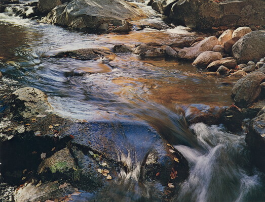A color photograph of water rushing over and around rocks and boulders; fallen leaves stick to some of the rocks.