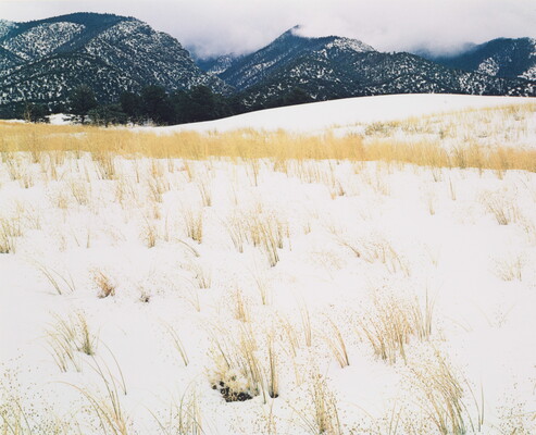 A color photograph of yellow grass stems poking out of snow and mist-covered mountains in the background.