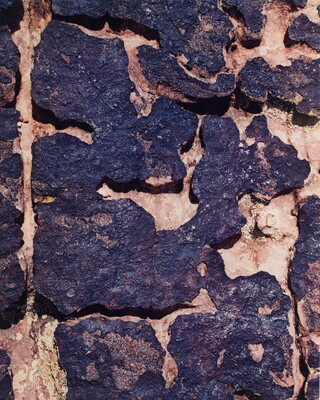 A close-up color photograph of a rock with raised dark patches and lighter lower patches.