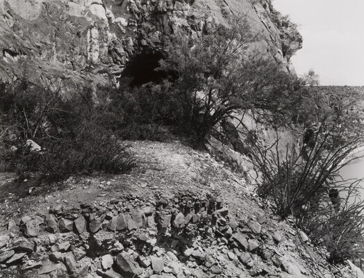 A black-and-white photograph of the opening of a railroad tunnel partially obstructed by shrubs and small trees on the side of a rocky mountain.