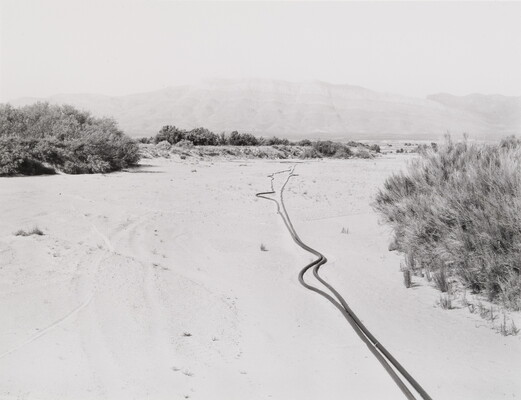 A black-and-white photograph of long water hoses laying in sand, surrounded by scrubby vegetation with dim mountains in the distance.
