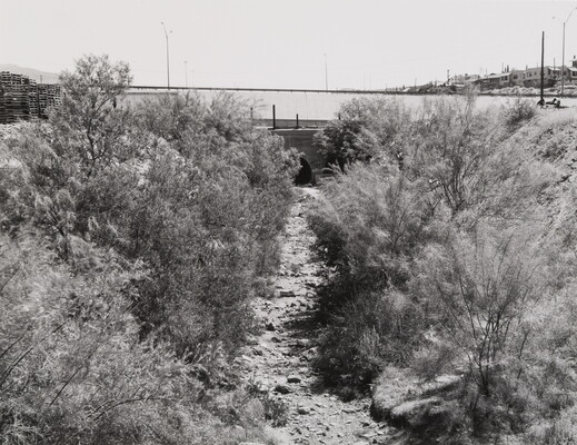 A black-and-white photograph of a dry streambed surrounded by low, scrubby plants.