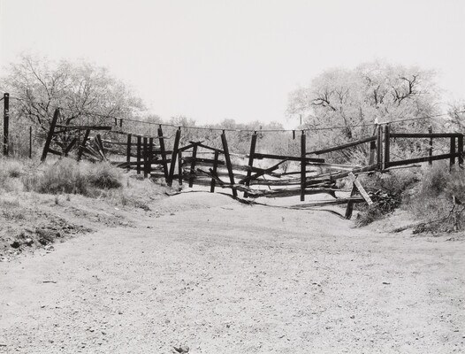 A black-and-white photograph of a gravel path leading to a dilapidated wood fence with grasses on both sides and trees in the background.