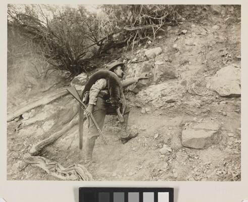 A black-and-white photograph of a White man climbing a rocky ridge holding a rifle with a mountain lion carcass over his shoulder.