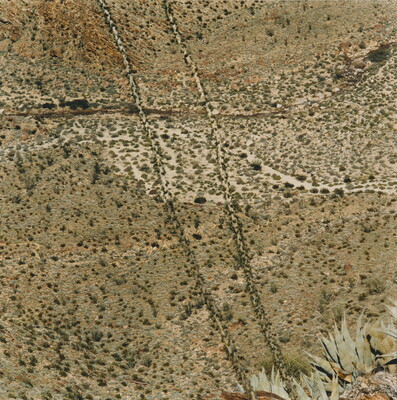 An abstract color photograph of agave leaves high above desert hills dotted with brush and cacti  behind them.
