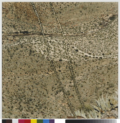 An abstract color photograph of agave leaves high above desert hills dotted with brush and cacti  behind them.