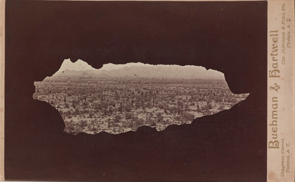 A sepia-toned photograph of a desert landscape of cacti and distant mountains viewed through a dark, irregular oblong shape.