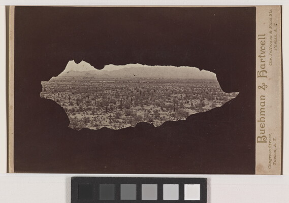 A sepia-toned photograph of a desert landscape of cacti and distant mountains viewed through a dark, irregular oblong shape.