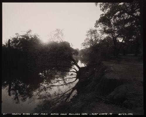 A black-and-white photograph of a river with trees growing over the water, their reflections slightly distorting the image, the sun is low in the sky just behind the trees.