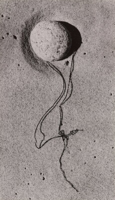 A black-and-white close-up photograph of strings of seaweed twisted around a rock on smooth sand.