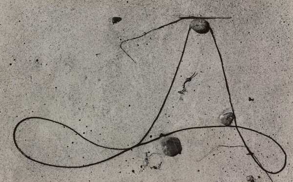A black-and-white photograph of string-like seaweed curved in loops around small rocks in smooth sand.