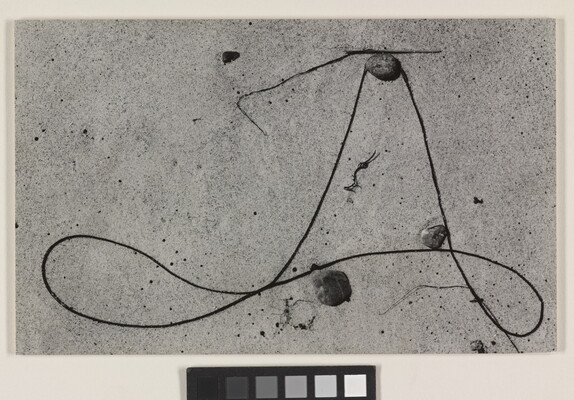 A black-and-white photograph of string-like seaweed curved in loops around small rocks in smooth sand.