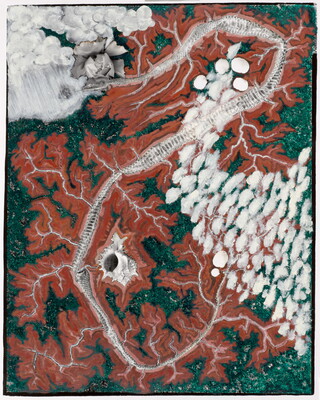 An abstract color photograph of a curving snake skin on a red and green background that resembles a topographical map dotted with seashells and flowers.