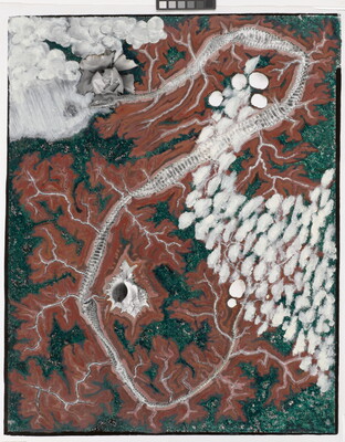 An abstract color photograph of a curving snake skin on a red and green background that resembles a topographical map dotted with seashells and flowers.