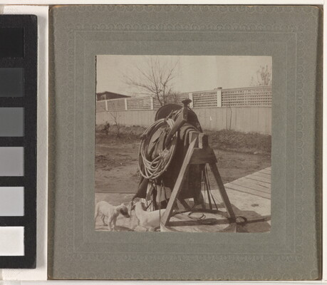 A sepia-toned photograph of the front view of a saddle and rope resting on a wooden sawhorse, with two small dogs standing underneath.