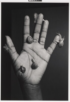 A black-and-white photograph of a open-palmed hand covered with snails crawling on the fingers and palm.
