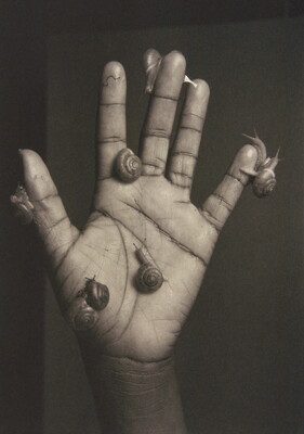 A black-and-white photograph of a open-palmed hand covered with snails crawling on the fingers and palm.