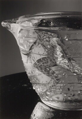 A black-and-white photograph of a frog hovering in a glass bowl filled with water, eyes just above the surface.