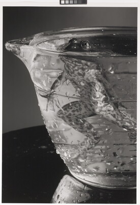 A black-and-white photograph of a frog hovering in a glass bowl filled with water, eyes just above the surface.