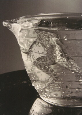 A black-and-white photograph of a frog hovering in a glass bowl filled with water, eyes just above the surface.