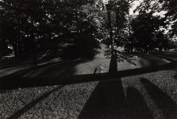 A black-and-white photograph of trees casting long shadows over a grass mound.