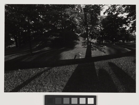 A black-and-white photograph of trees casting long shadows over a grass mound.
