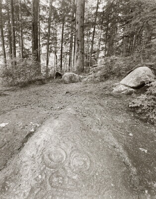A black-and-white photograph of circular patterns in a dirt clearing surrounded by boulders and tall trees.