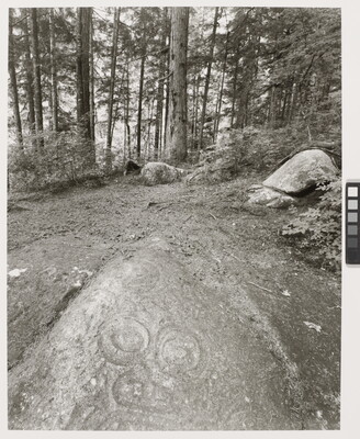 A black-and-white photograph of circular patterns in a dirt clearing surrounded by boulders and tall trees.
