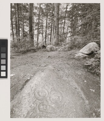 A black-and-white photograph of circular patterns in a dirt clearing surrounded by boulders and tall trees.