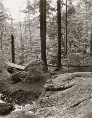 A black-and-white photograph of circular patterns carved into a boulder; moss-covered rocks and tall trees in the background.