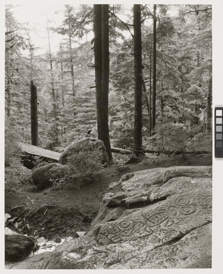 A black-and-white photograph of circular patterns carved into a boulder; moss-covered rocks and tall trees in the background.