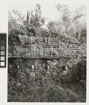 A black-and-white photograph of human figures carved out of rock in a hillside covered with brush and small trees.