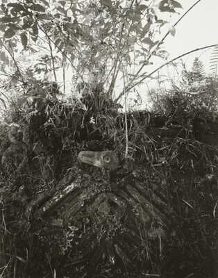 A black-and-white photograph of a hillside with a bird carved in stone and partially overgrown with vegetation.
