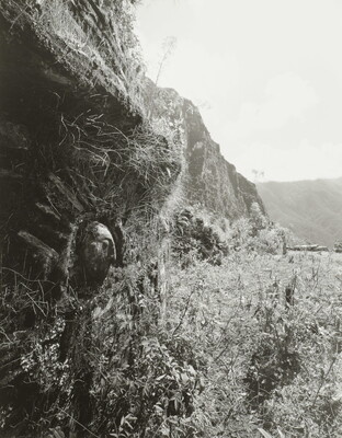 A black-and-white photograph of the side-view of a face carved into the side of a cliff.