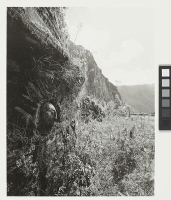 A black-and-white photograph of the side-view of a face carved into the side of a cliff.