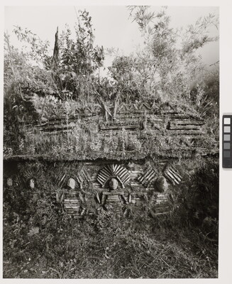 A black-and-white photograph of human figures carved out of rock in a hillside covered with brush and small trees.