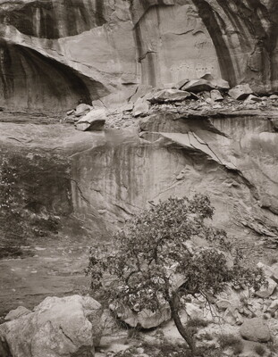 A black-and-white photograph of a rock wall with shelves and lines created by water erosion; a row of faint pictographs are visible on one of the upper rock shelves.