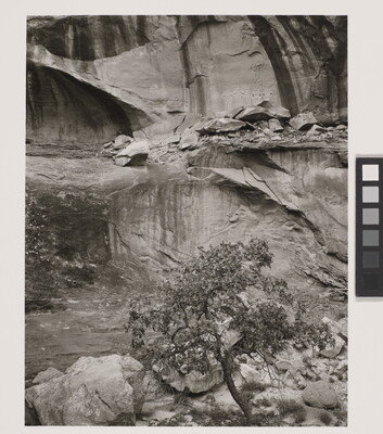 A black-and-white photograph of a rock wall with shelves and lines created by water erosion; a row of faint pictographs are visible on one of the upper rock shelves.
