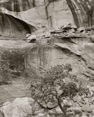 A black-and-white photograph of a rock wall with shelves and lines created by water erosion; a row of faint pictographs are visible on one of the upper rock shelves.