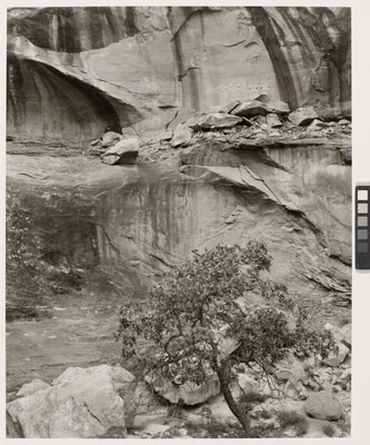 A black-and-white photograph of a rock wall with shelves and lines created by water erosion; a row of faint pictographs are visible on one of the upper rock shelves.